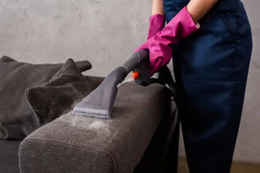 Mily's Cleaning Services's other services