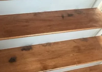 Cleaning Company
