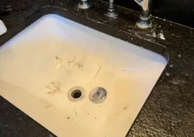 Home Cleaner